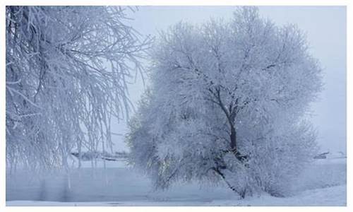 雨雪霏霏是哪首诗里的_昔我往矣,杨柳依依,今我来思,雨雪霏霏的意思