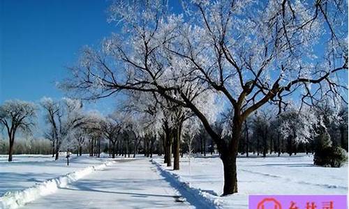 雪景的优美句子_形容西藏雪景的优美句子