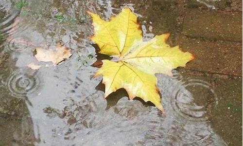 秋雨有关的诗句_秋雨有关的诗句古诗词