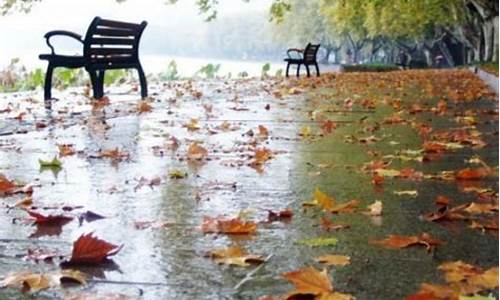 秋雨的特点_秋雨的特点用四个字形容